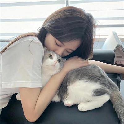 功能失常的猫