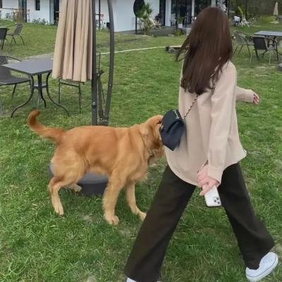 妻子的噩梦