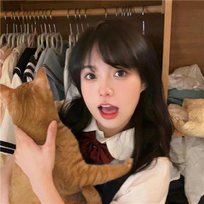 铁马冰河入梦来